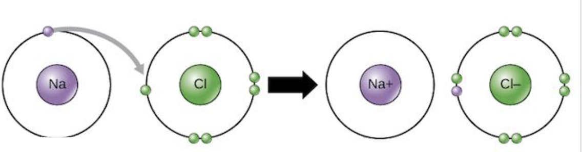 <p>A diagram that represents the transfer of electrons during ionic bonding between atoms. </p><ul><li><p>include electrical configuration </p></li><li><p>include charges (for ions)</p></li><li><p>include arrows to show the transfer of electrons </p></li></ul>