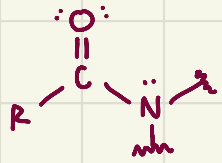 <p>identify the functional group</p>