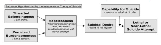 ^ Joiner's Interpersonal Theory of Suicide ^