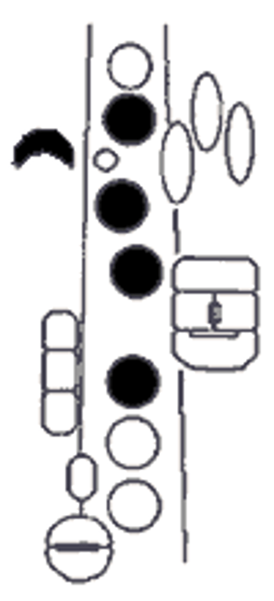 knowt flashcard image