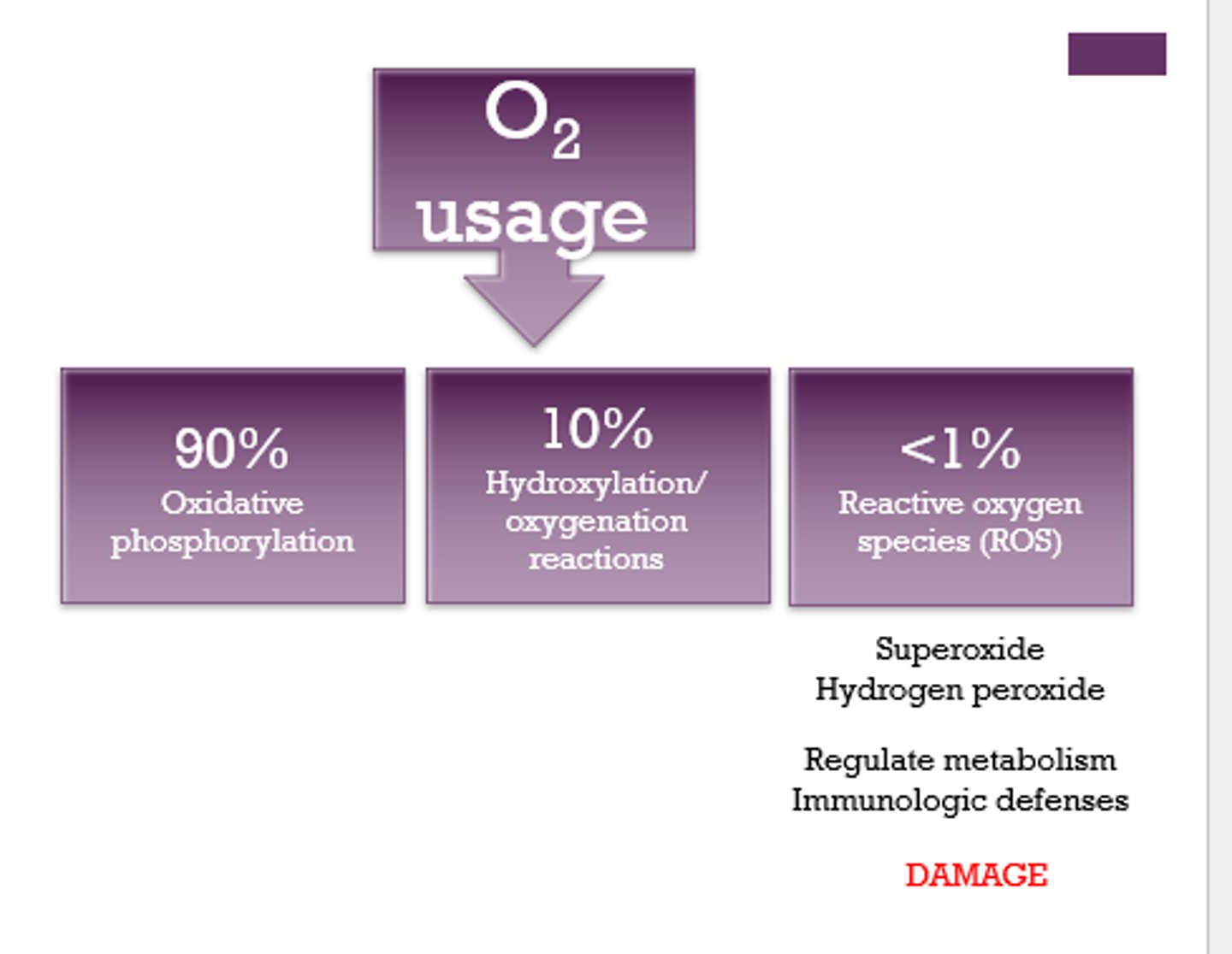 <p>1. 90%</p><p>2. 10%</p><p>3. less than 1%</p>