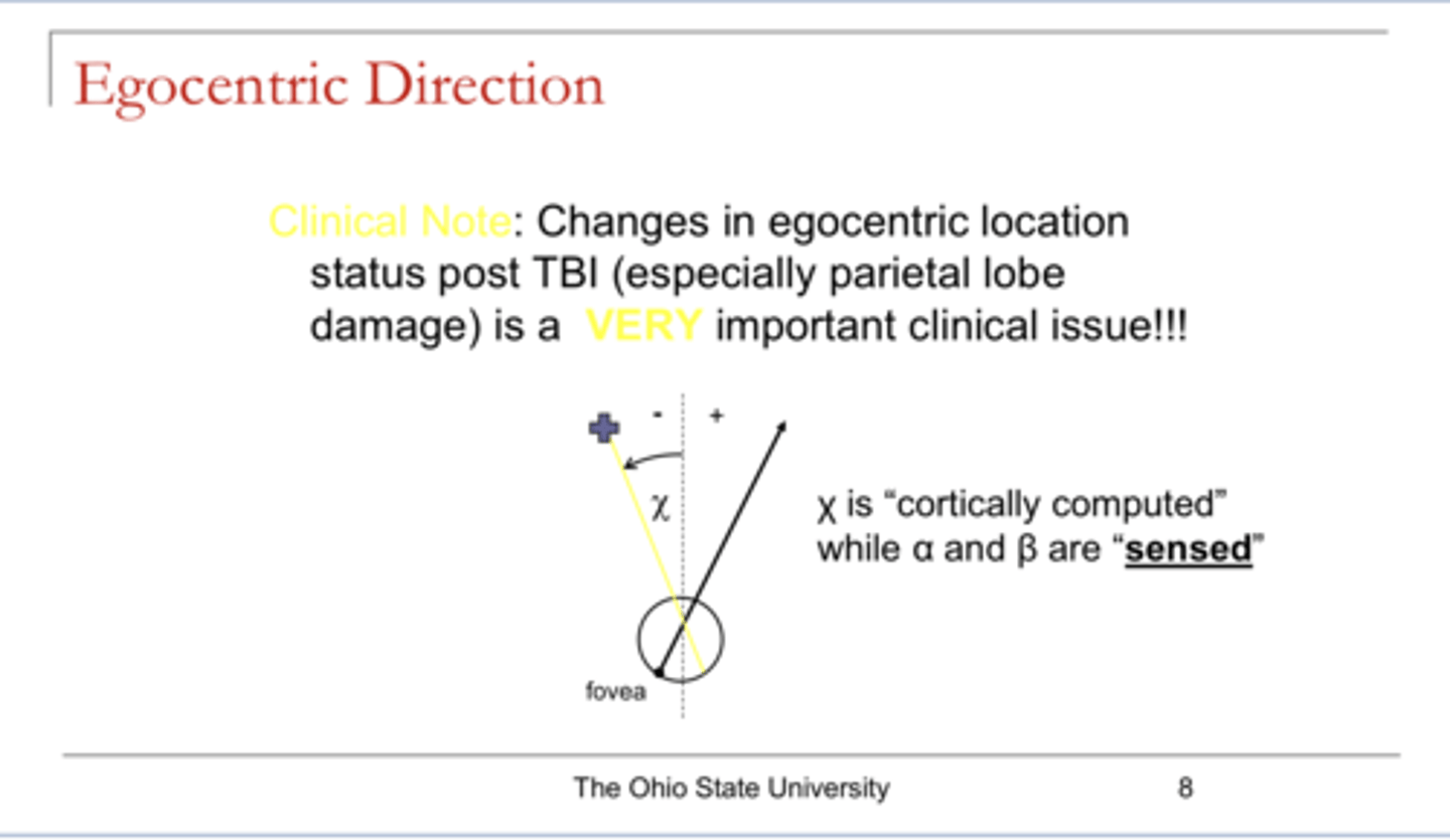<p>Ocular direction and Oculocentric location are ______</p>