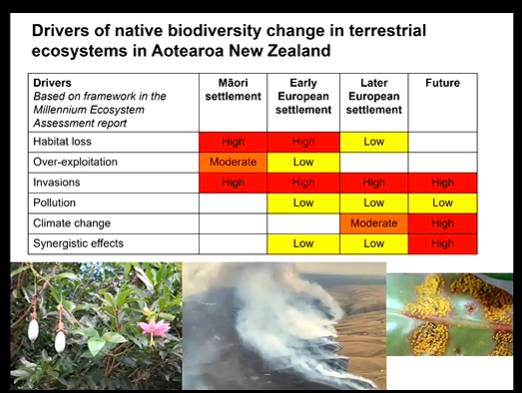 <ul><li><p>climate change</p></li><li><p>over-exploitation</p></li><li><p>pollution</p></li><li><p>habitat loss</p></li><li><p>invasive species&nbsp;</p></li></ul><p>(New Zealand)</p><ul><li><p>have all occurred in NZ at different stages (Maori settlement → European settlement → present)</p></li><li><p>they interact to cause worsened effects (e.g. invasive species may become more successful with climate change if more adapted to)</p></li><li><p>the worst one overall = invasive species, worst in the past = habitat loss, worst into the future = climate change</p></li></ul><p></p>