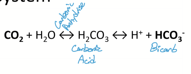 <p>Carbonic acid buffer system. CO2 is acid and Bicarbonate is base. </p>