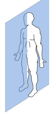 <p> </p>
