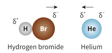 <ol type="a"><li><p><span><strong>Dipole-induced dipole</strong>: A ____ intermolecular force that occurs when a ___ molecule gets close to an atom or non-polar molecule and ____ a dipole by disrupting the _______ of its _______</span></p><ol type="i"><li><p><span>Because of the powerful dipoles of a polar molecule, even nonpolar molecules form _______ dipoles (because electrons move)</span></p></li><li><p><span>LARGER molecules are _____ susceptible to form dipole-induced dipoles, as they have ______ electron clouds = Electrons not held as tightly by nucleus = Greater scope for _____</span></p></li></ol></li></ol><p></p>