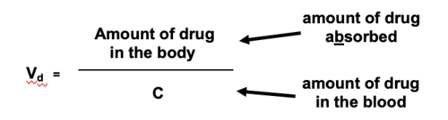 <p>- amount of drug <br>- concentration of drug (C)</p>