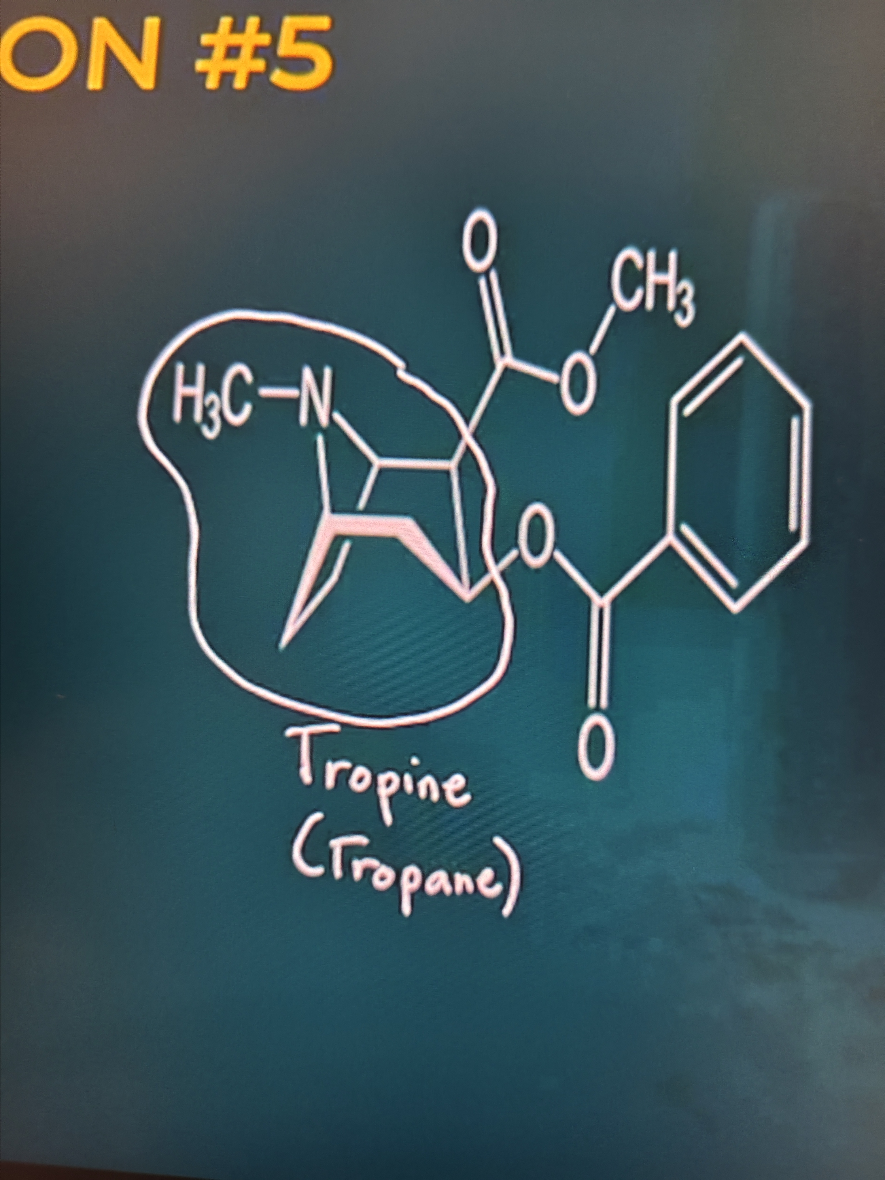 <p>Determine the names of these alkaloids: Refer to the picture</p><p>A. Morphine - Isoquinoline</p><p>B. Caffeine - Xanthine/Purine</p><p>C. Cocaine - Tropane</p><p>D. Reserpine - Indole</p>