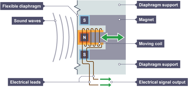 <ul><li><p>Sound waves enter a flexible diaphragm that is attached to a coil of wire wrapped around a magnet</p></li><li><p>This causes the coil of wire to move in the magnetic field creating a current</p></li><li><p>The movement of the coil depends on the sound wave's pressure variations, converting sound into an electrical signal</p></li></ul><p></p>