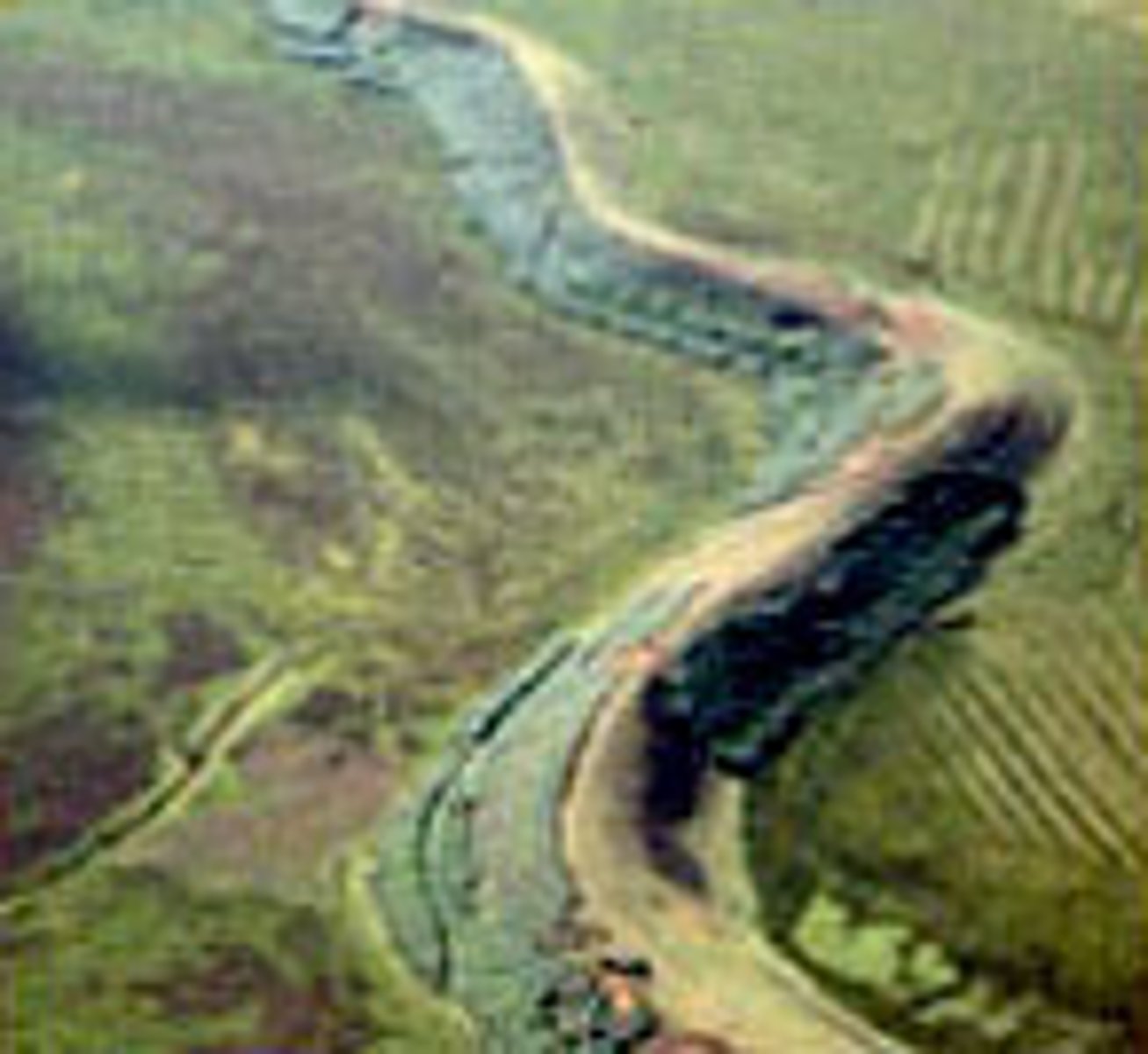 <p>a long ridge of sediment, typically having a winding course, deposited by meltwater from a retreating glacier or ice sheet.</p>