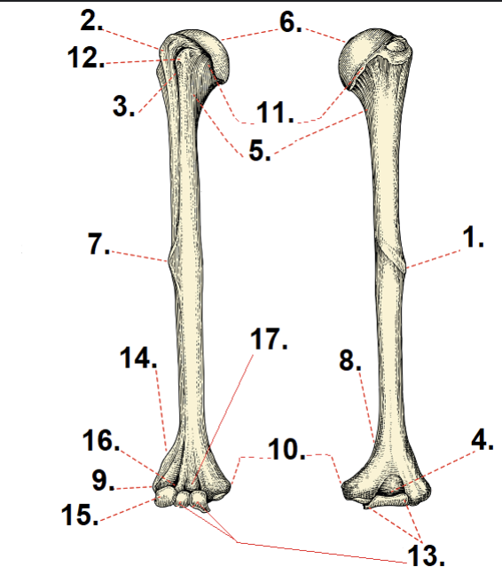 <p>What is #3?</p>