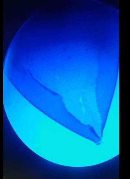term image