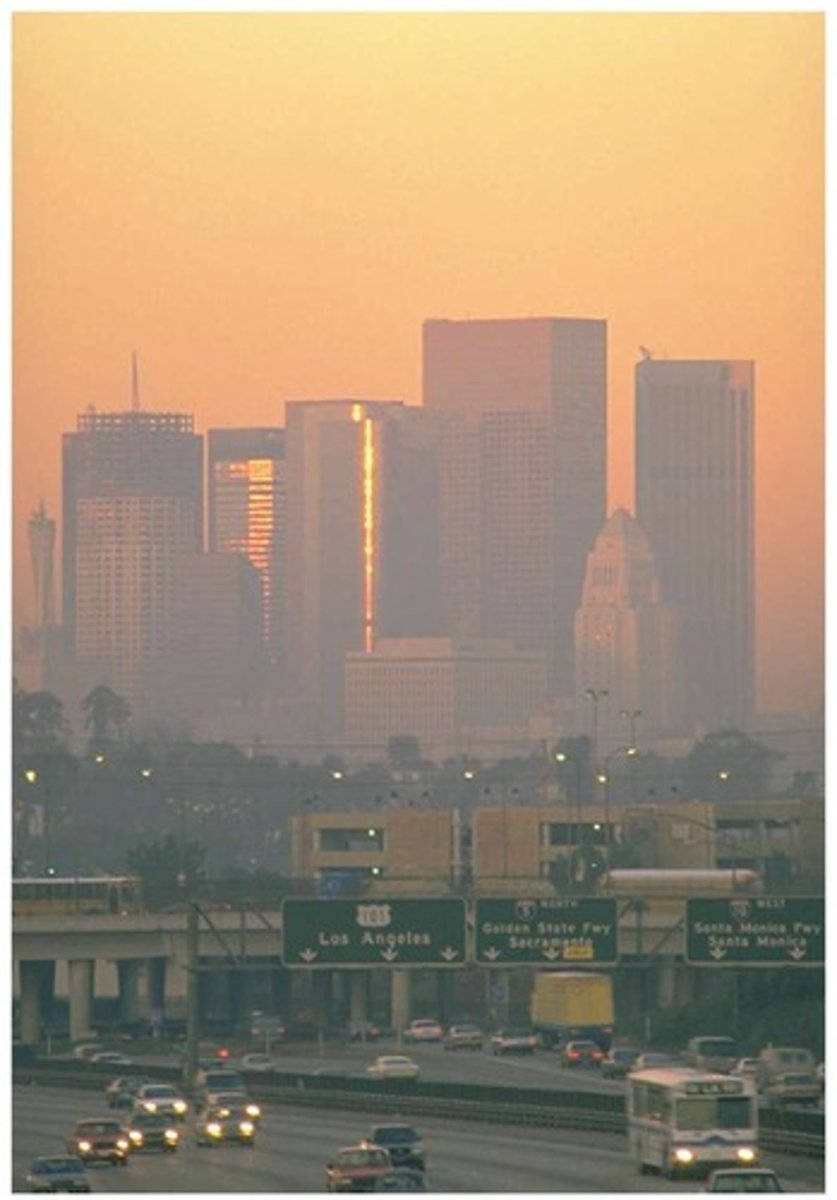 <p>Nitrogen dioxide (NO2)</p>