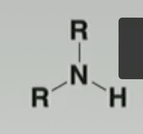 <p>Identify the functional group</p>