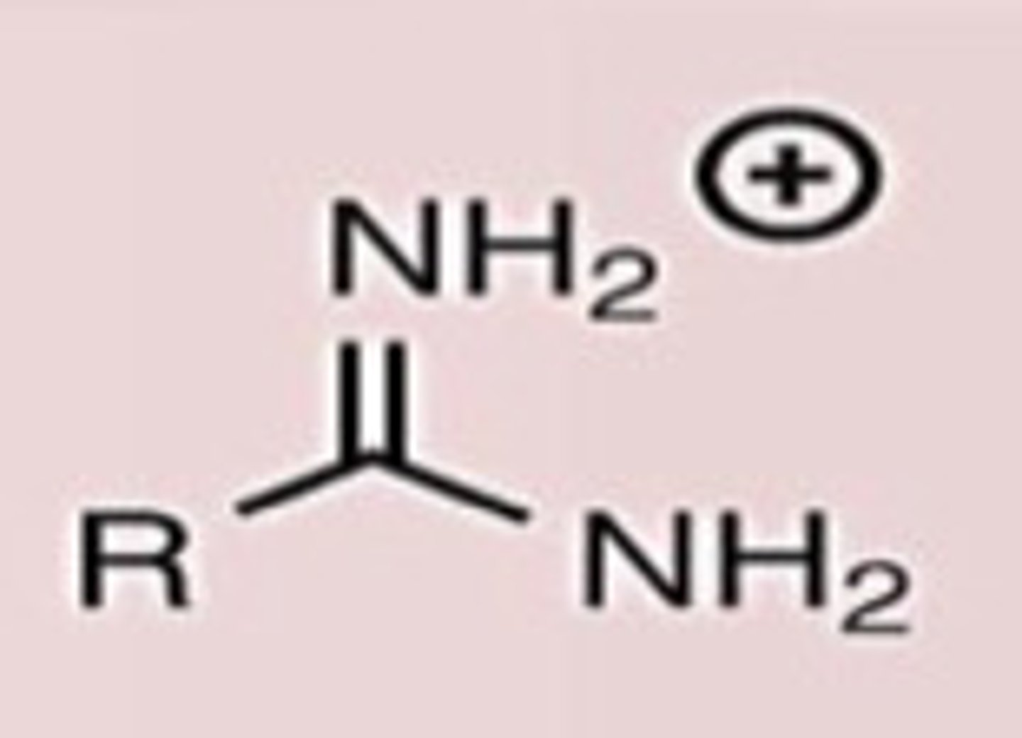 <p>Conj. Acid</p>