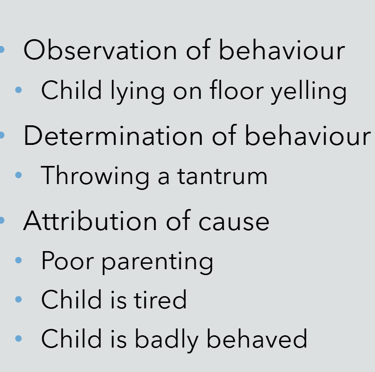 <p>An evaluation made about the causes of behavior&nbsp;</p>