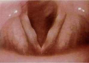 <p></p>