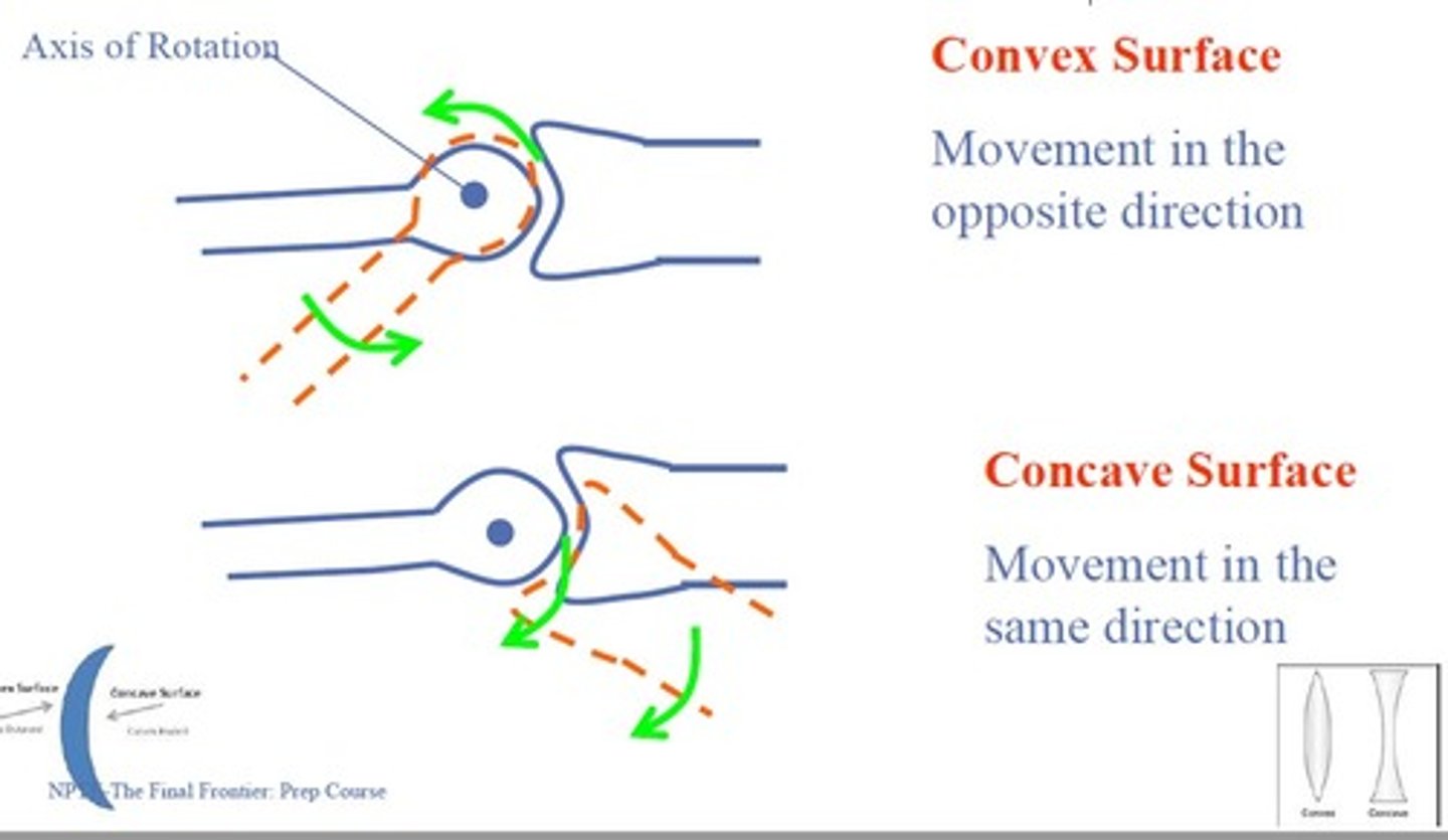 <p>Convex Surface</p><p>Movement in the opposite direction</p><p>Concave Surface</p><p>Movement in the same direction</p>