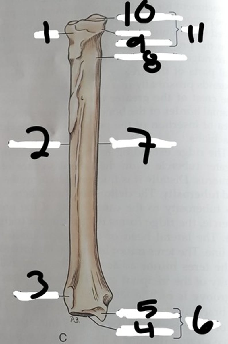 <p>What is 1?</p>