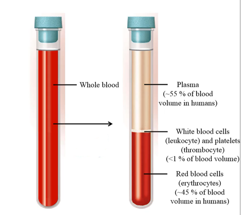 <p>Centrifugation</p>