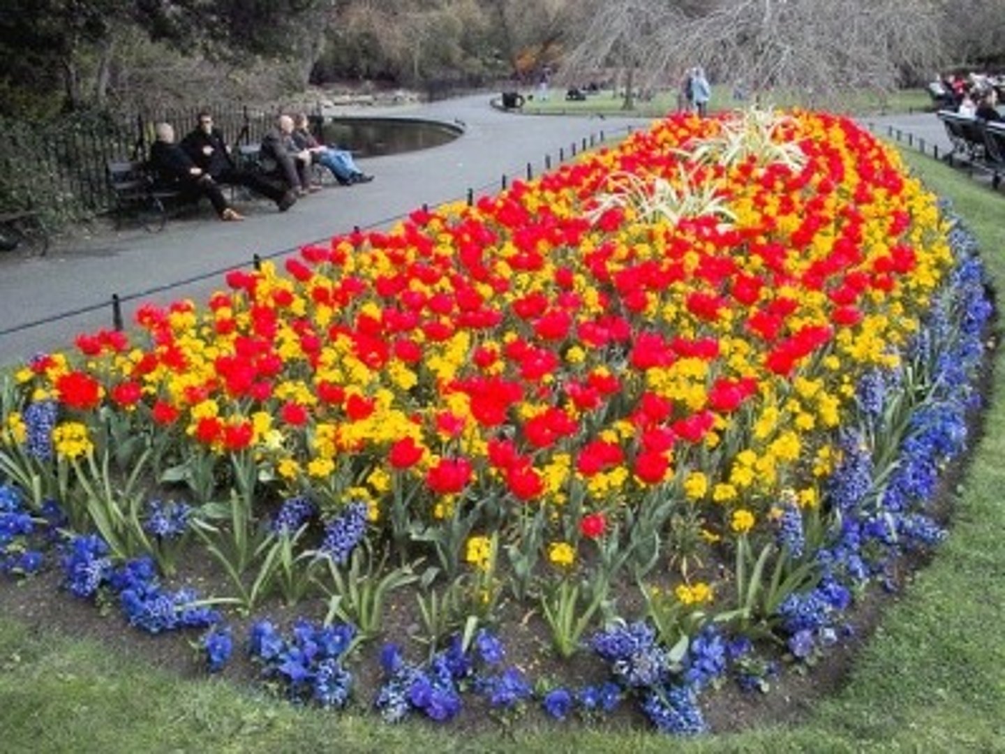 <p>flowerbed thảm hoa</p>