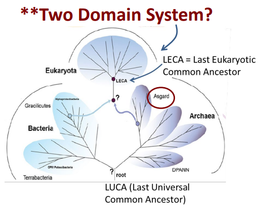 <p>Two domain system?</p>