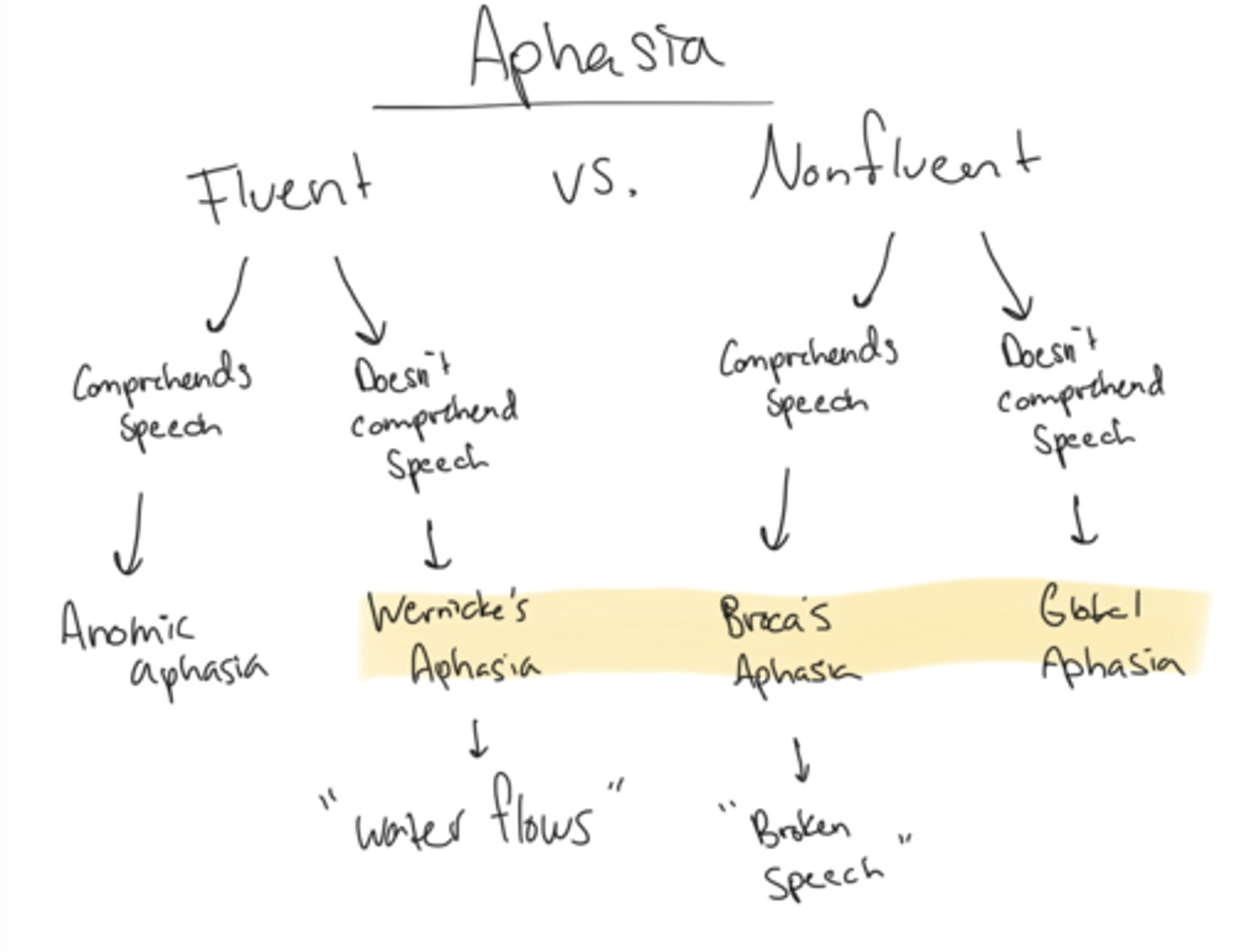 <p>Nonfluent + does not comprehend speech</p>