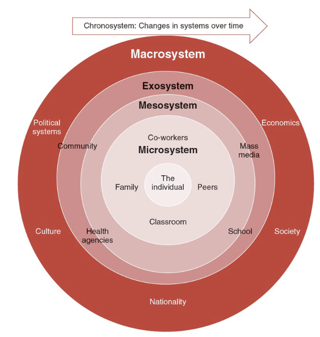 <p>a child's development is a product of both their biology and a series of systems that surround the child</p><ul><li><p>emphasizes the importance of the space/environment that a child grows and resides in in relation to them</p></li></ul>