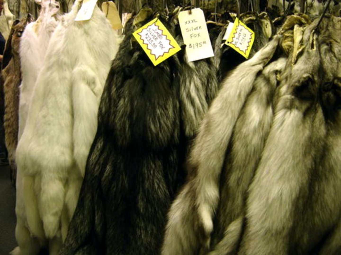 <p>animal skins</p>