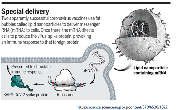 <p>Why is the claim that the COVID-19 vaccine will change someone’s DNA is false?</p>