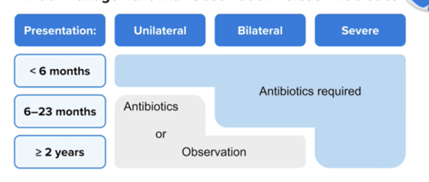 <p>Observation without antibioitics for 48 - 72 hours</p><p>know when not to observe</p>