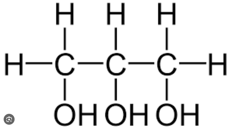 <p>A molecule involved in the formation of most fats and triacylglycerol. Also an alcohol. Has 3 carbons and 3 hydroxyl groups. Forms an ester bond through dehydration synthesis in order to create triacylglycerol.</p>