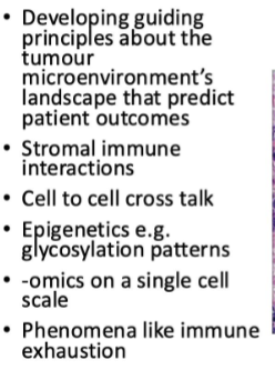 <p>Spatial biology looks at stroma changes  - can detect if cancer will stay as dysplasia or start to spread</p><p>Test tumours microenvironment</p>
