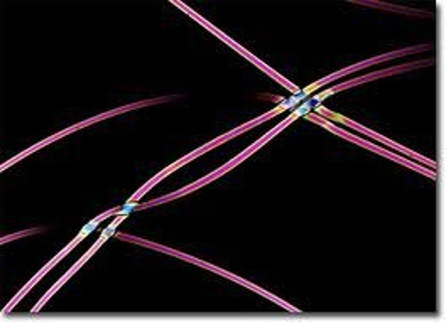 <p>What fiber is this?</p>