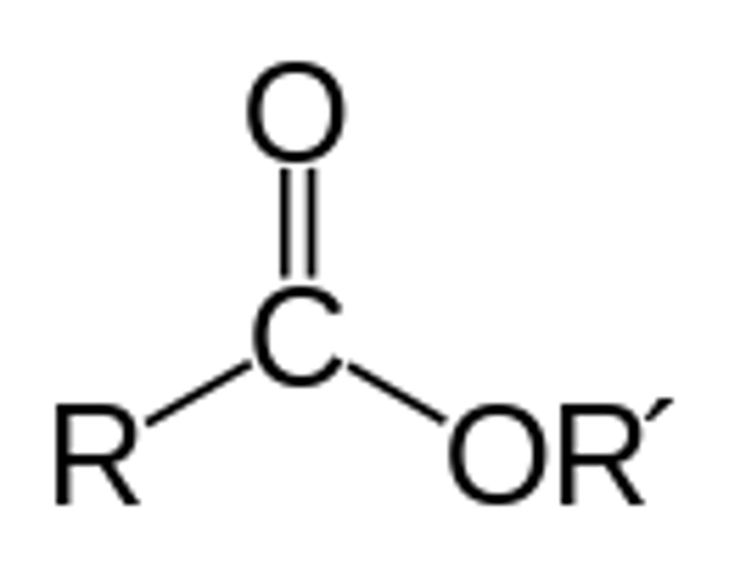 <p>dehydration reaction that links a carboxyl group and hydroxyl group</p>