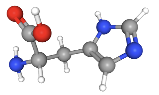 <p><span style="font-family: LatoWeb, Lato, Helvetica Neue, Helvetica, Arial, sans-serif">Which amino acid is this?</span></p>