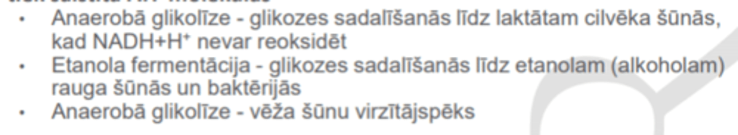 <p>glikozes vai citu organisko barības vielu sadalīšanās anaerobos apstākļos enerģijas iegūšanai, kas tiek saistīta ATF molekulās</p>