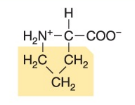 <p>Non-polar, hydrophobic</p>