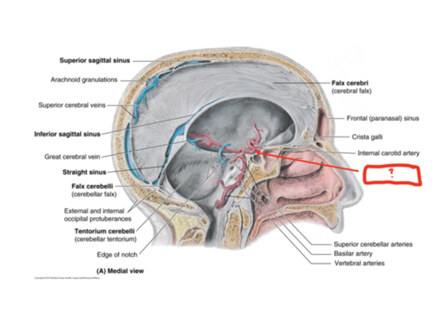 <p>What is this structure?</p>