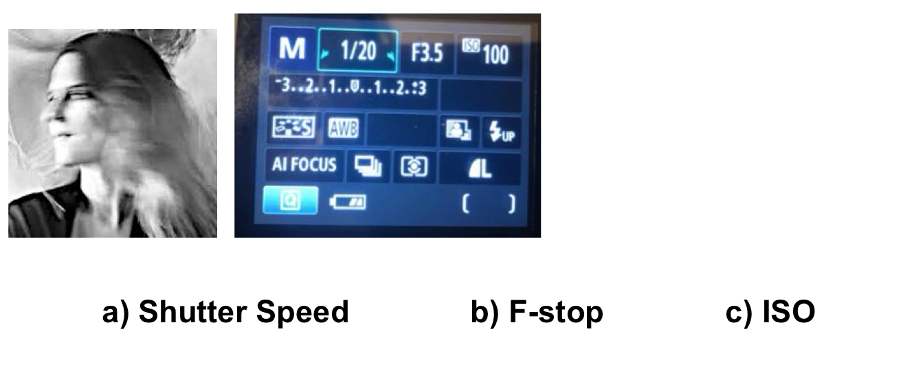 <p>What setting in this photo made the photo blurry? (The image is taken outside in a sunny day).</p>