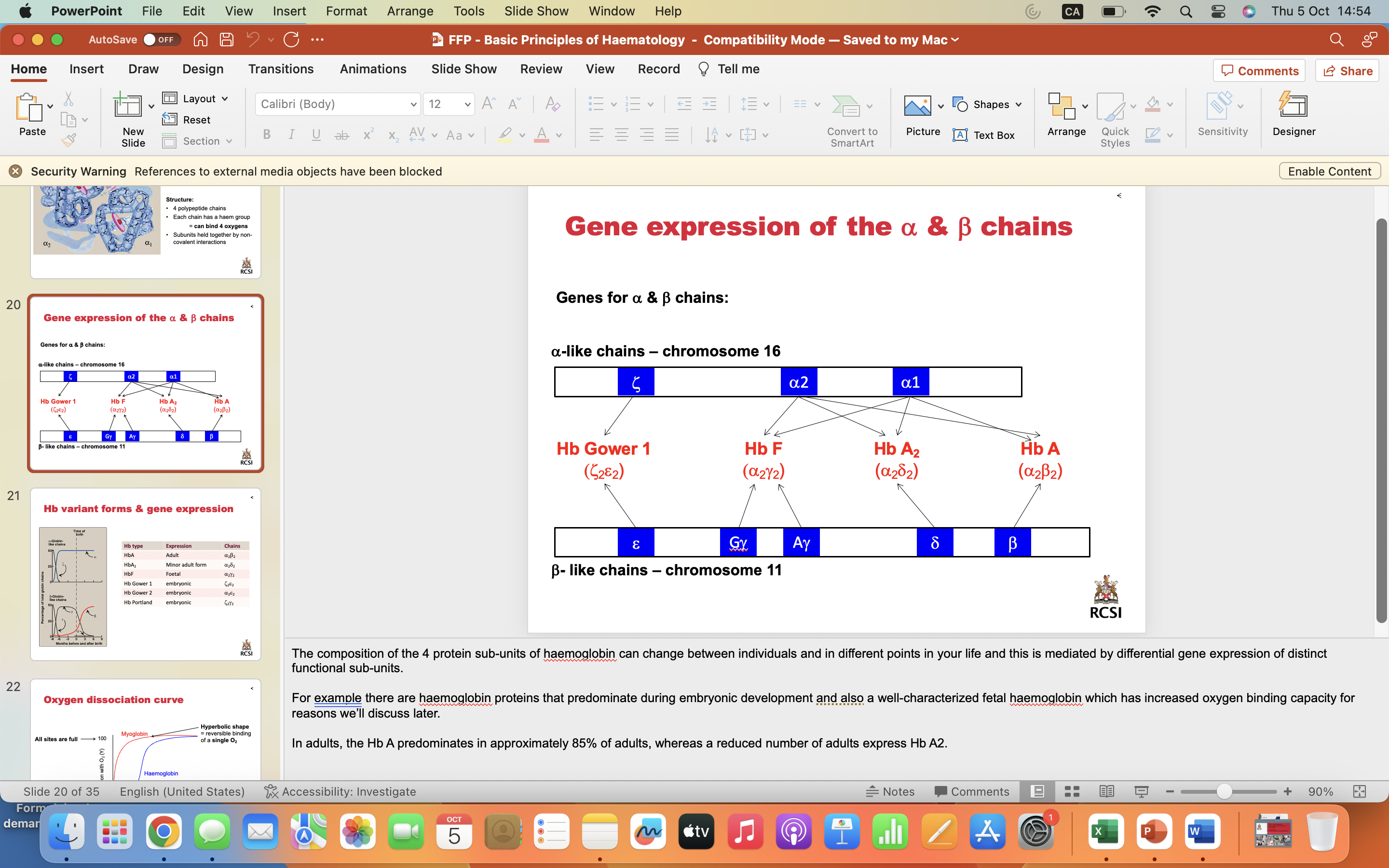 <p><span style="font-family: Calibri">The composition of the 4 protein sub-units of haemoglobin can change between individuals and in different points in your life and this is mediated by differential gene expression of distinct functional sub-units.</span></p><p></p><p><span style="font-family: Calibri">For example there are haemoglobin proteins that predominate during embryonic development and also a well-characterized fetal haemoglobin which has increased oxygen binding capacity for reasons we’ll discuss later.</span></p><p></p><p><span style="font-family: Calibri">In adults, the Hb A predominates in approximately 85% of adults, whereas a reduced number of adults express Hb A2.</span></p>