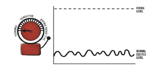 <ul><li><p>all 400 nerves have a little bit of electricity flowing through them </p></li><li><p>this is normal and shows you are alive </p></li></ul><p></p>
