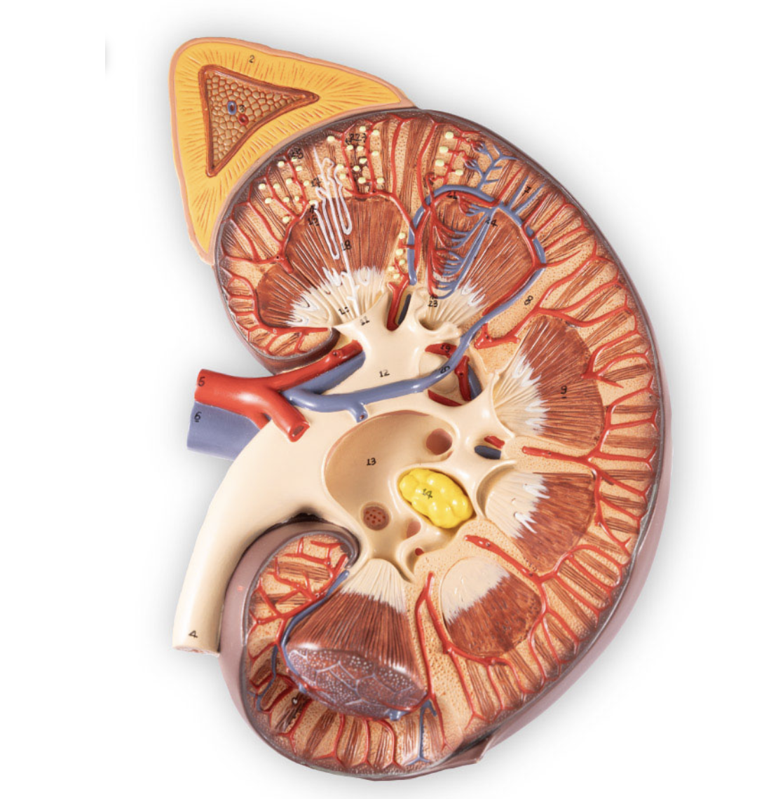 <p>What is this?</p>