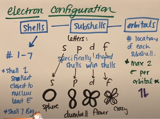 <p>What’s the difference between shells, subshells, and orbitals?</p>