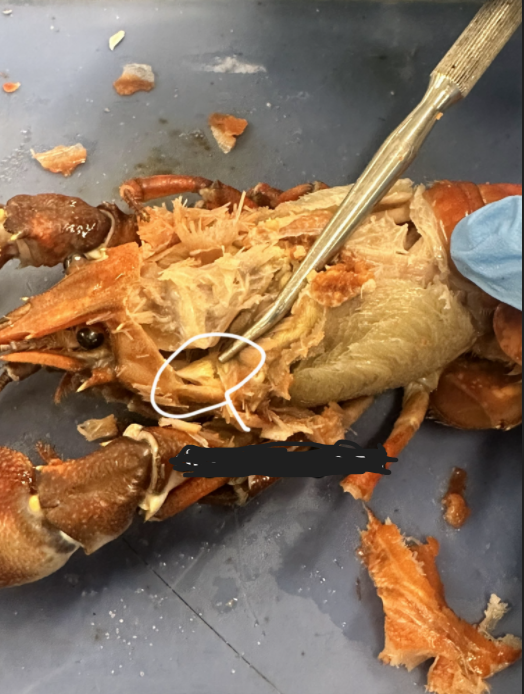 <p>What is option 24</p>