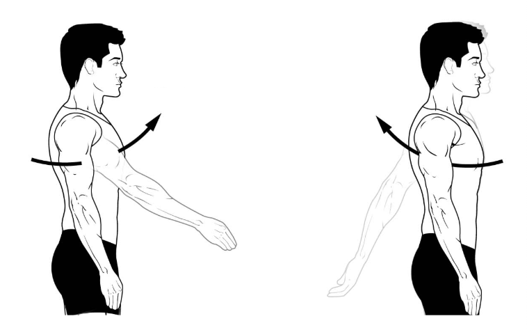 <p>What are these two movements called ? </p>