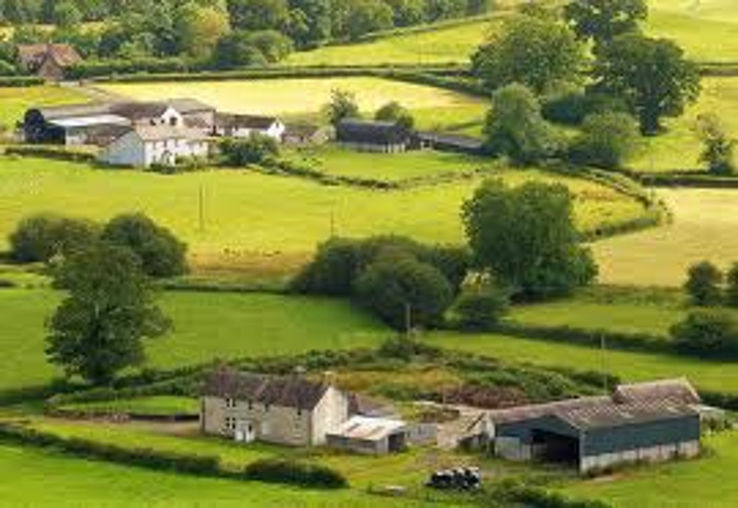 <p>countryside</p>