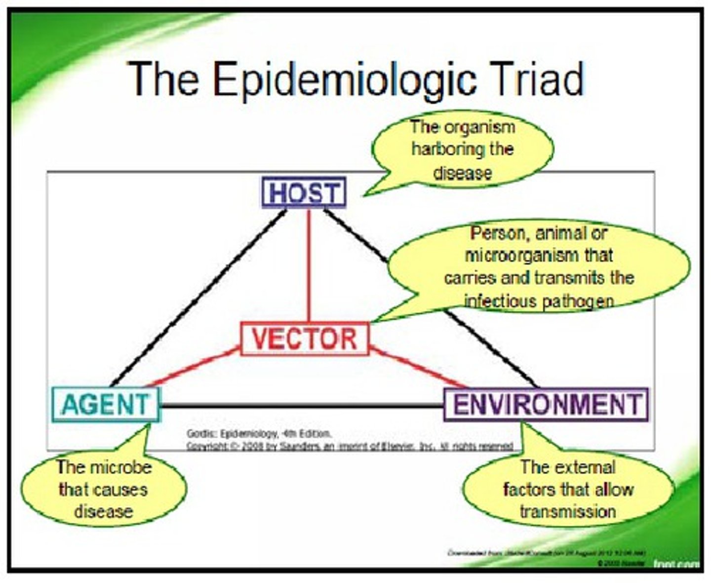 <p>The interaction between three factors: The Agent (the virus's infectivity/virulence), The Host (age, immune status, genetics), and The Environment (sanitation, climate, social behavior).</p>