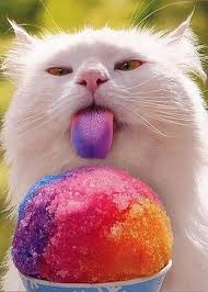 to lick