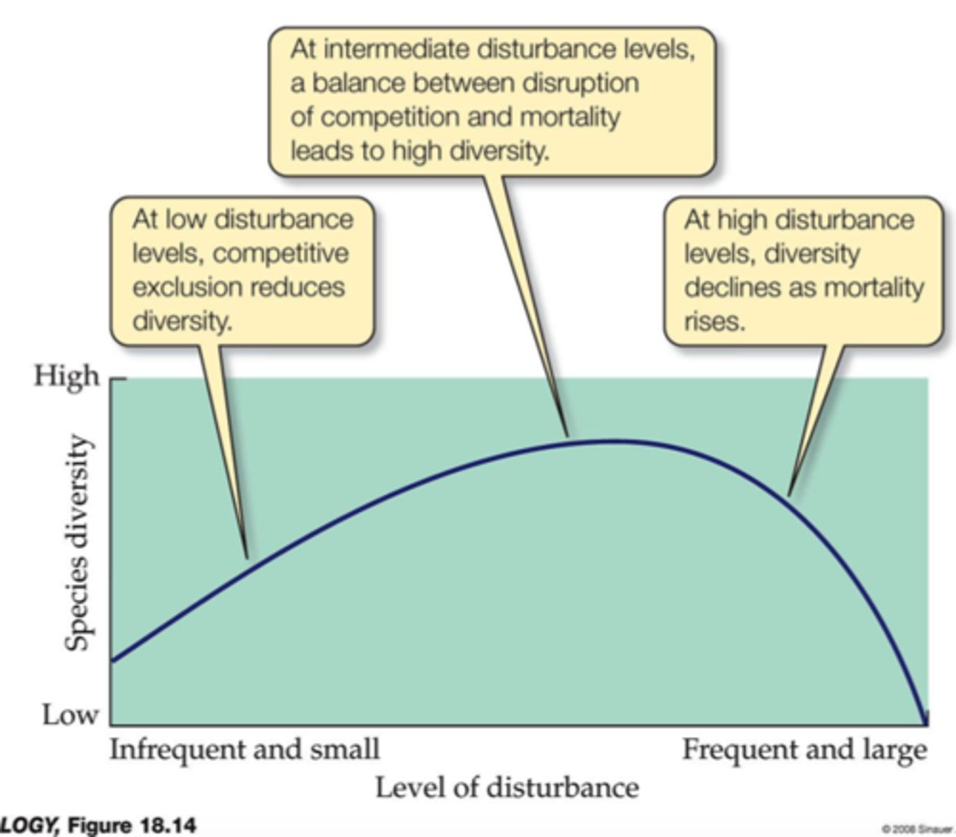 <p>diversity is maximized at intermediate levels of predation</p>